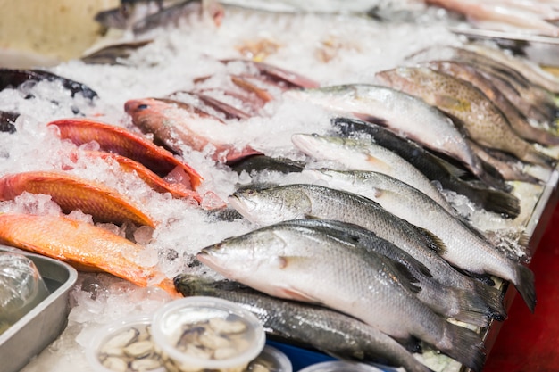 Frische Fische mit Eis im Straßenmeeresfrüchtemarkt in Thailand