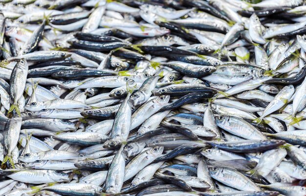 Frische Fische zum Verkauf auf dem Markt in Istanbul