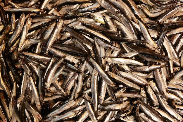 Frische Fischsardellen auf dem Markt - Hamsi