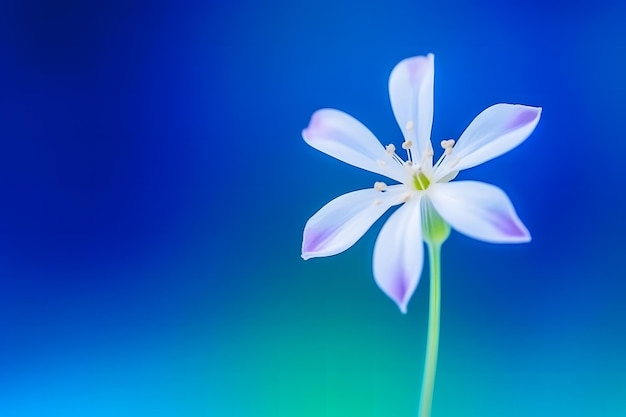 Frische Fliederblüten, schöne lila Blumen, neuronales Netzwerk, generiert