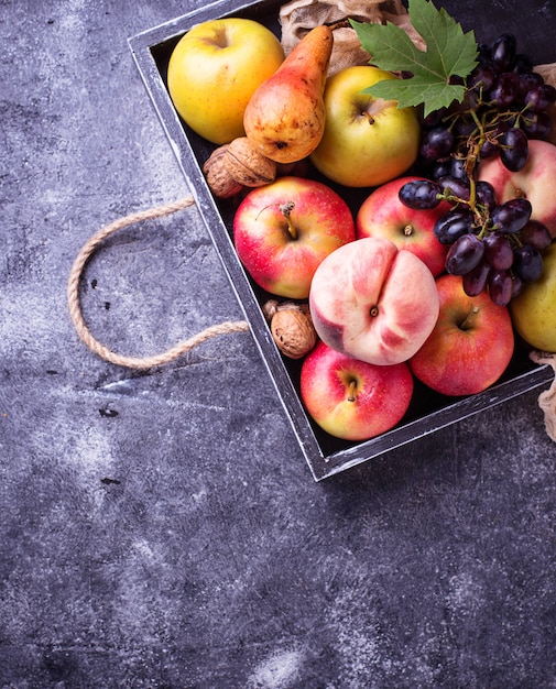 Frische Früchte. Äpfel, Birnen, Trauben und Pfirsiche