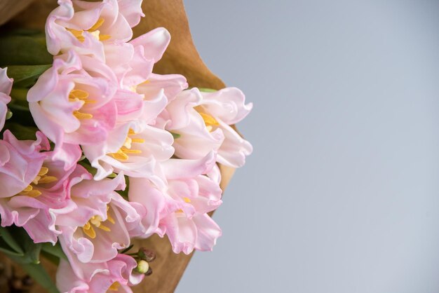 Frische frühlingsrosa Tulpen auf altem Vintage-Papier auf weißem Hintergrundkopienraum