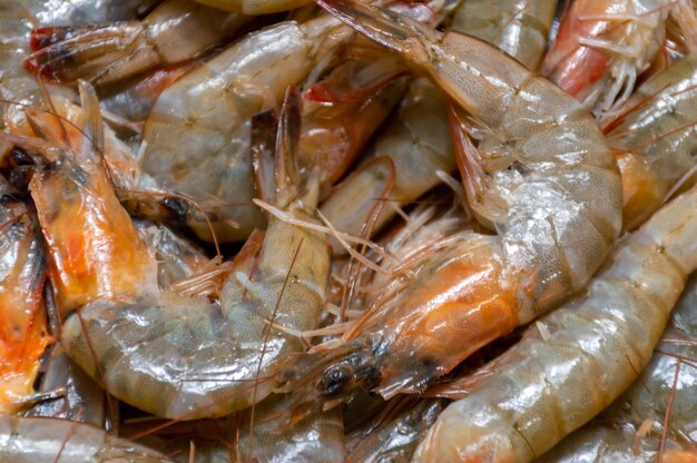 Frische Garnelen auf dem Fischmarkt