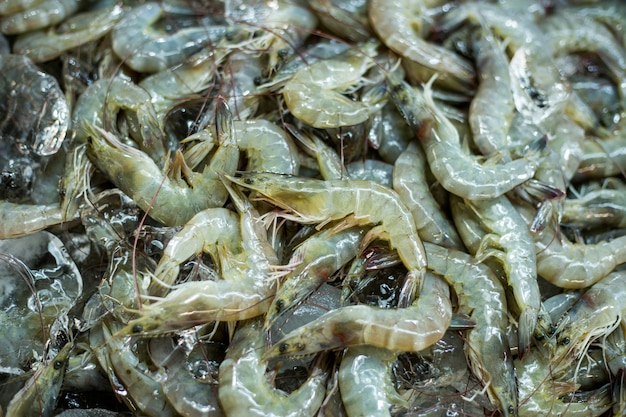 Frische Garnelen auf Eis im Markt