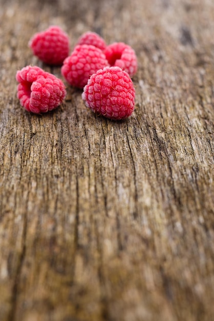 Frische gefrorene Beeren Himbeere