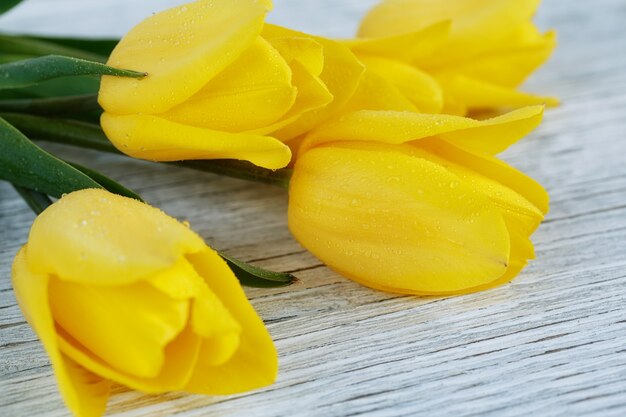 Frische gelbe Tulpen auf weißer Holzoberfläche