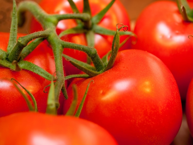 Frische große Tomaten.