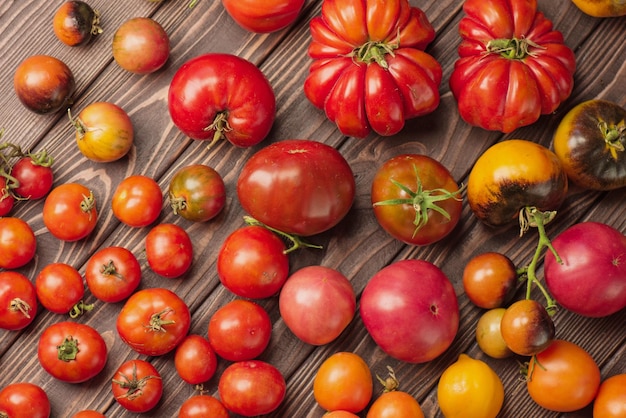 Frische große und kleine Tomaten auf dunklem hölzernem Hintergrund