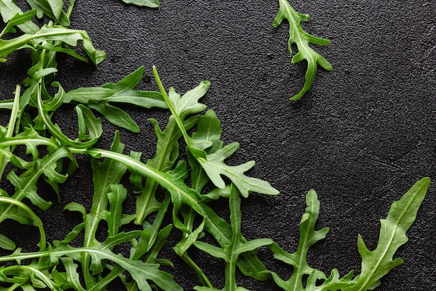 Foto frische grüne arugula-blätter mit wassertropfen