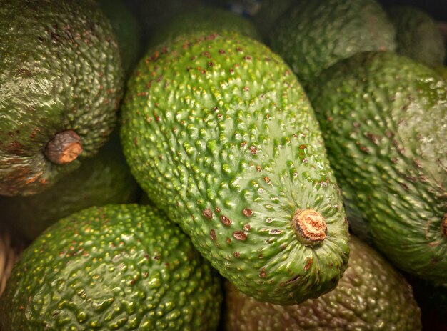 Frische grüne Avocados oder Persea Americana zum Verkauf bereit. Tropische Avocadosfrüchte auf Marktstand.