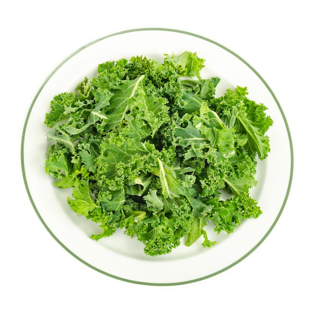 Frische grüne Grünkohlblätter. Vegetarisches Menü, gesunde Ernährung. Studiofoto