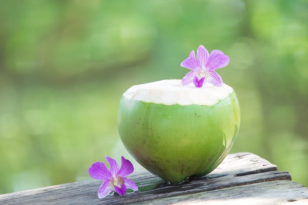 Frische grüne Kokosnüsse mit Trinkhalm