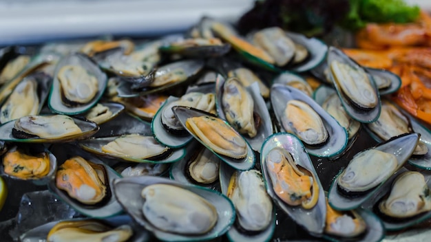 Frische grüne Muscheln und essfertig in Meeresfrüchten an der Eisbuffetbar