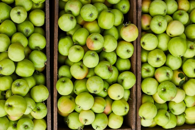 Frische grüne Äpfel auf der Ernte der Holzkisten