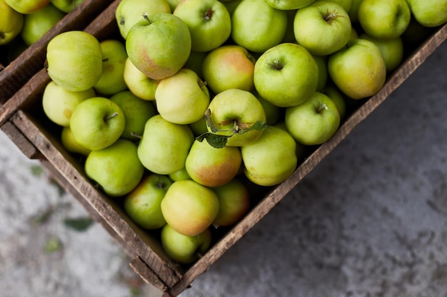 Frische grüne Äpfel auf der Ernte der Holzkisten