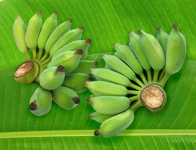 Frische grüne rohe Banane auf frischen Bananenblättern