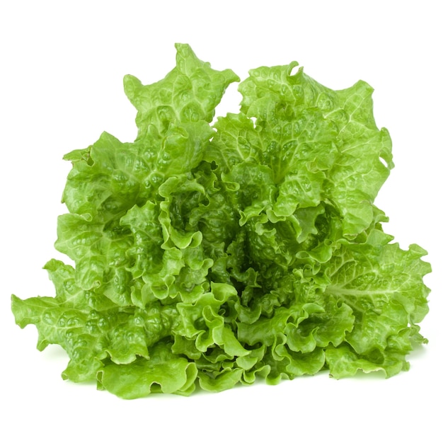 Frische grüne Salatblätter isoliert auf weißem Hintergrund