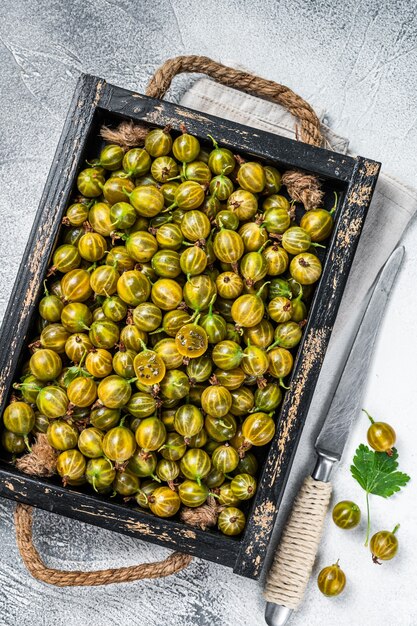 Foto frische grüne stachelbeeren, wachsende bio-beeren. weißer hintergrund. ansicht von oben.