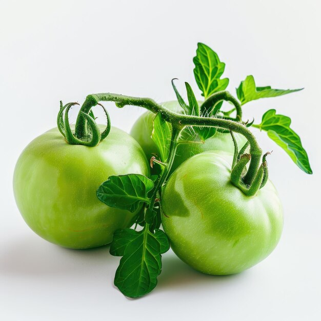 Frische grüne Tomaten auf weißem Hintergrund