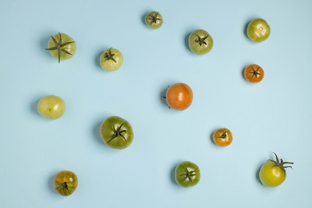 Frische grüne Tomaten in verschiedenen Größen