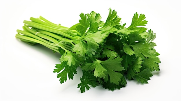 Frische grüne vegane Vitaminpetersilie isoliert auf weißem Hintergrund