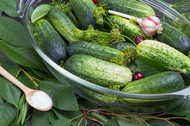 Frische Gurken, Dill, Knoblauch und Kirschbeere in Glasschüssel. Salz in einem Holzlöffel auf Kirschzweig. Ansicht von oben.