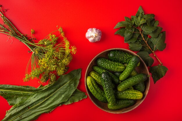 Frische Gurken in einer Schüssel, Knoblauch, Dill, Meerrettichblätter und Johannisbeeren auf Rot