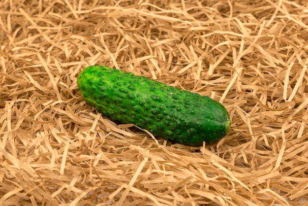 Frische Gurkenernte Gurkengemüse auf einem Heustrohgras