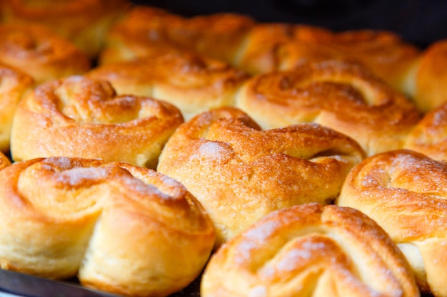 Frische hausgemachte Brötchen hautnah im Ofen