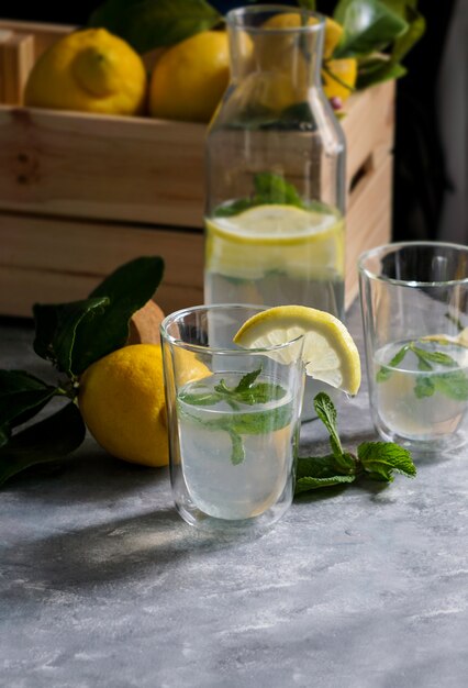 frische hausgemachte Zitronenlimonade mit Minze