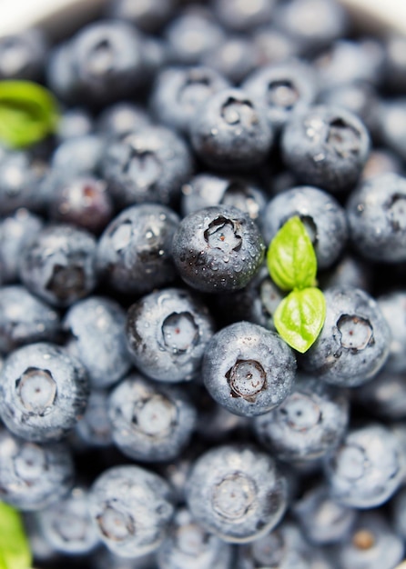 Frische Heidelbeere mit grünen kleinen Blättern Hintergrund Leckere Beeren hautnah mit Sonnenlicht