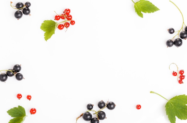 Frische Heidelbeeren rote und schwarze Johannisbeeren Stachelbeeren Sommerbeere Ornament auf weißem Hintergrund