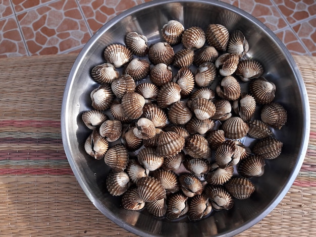 frische Herzmuschel im Fach. Das Hauptrohmaterial für das Kochen