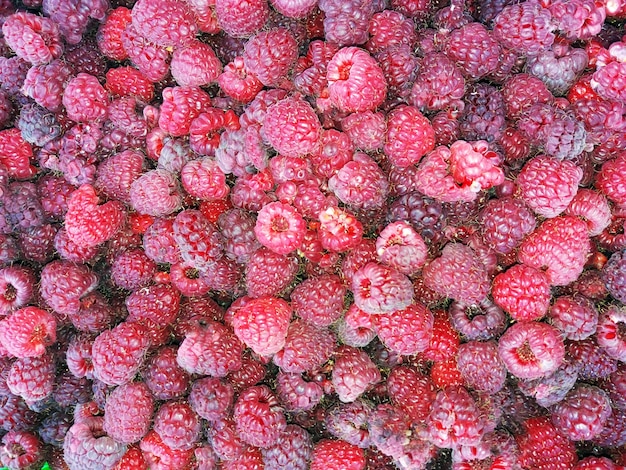 Frische Himbeeren Hintergrund Nahaufnahme Foto