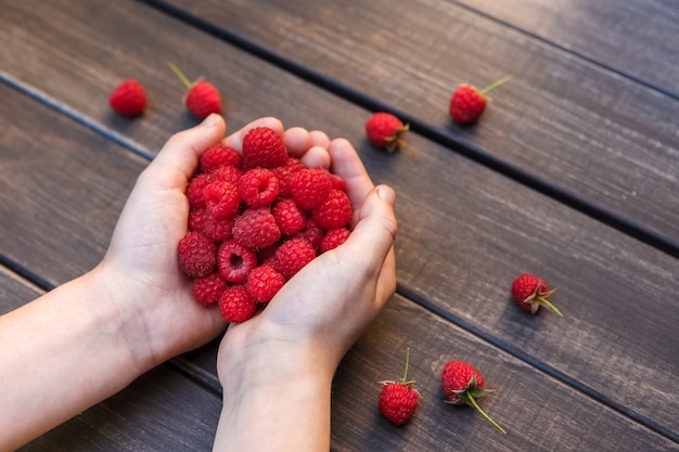 Frische Himbeeren in den Händen auf einem Holztisch