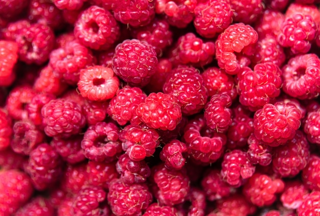 Frische Himbeeren in der Schüssel auf blauem Holztisch