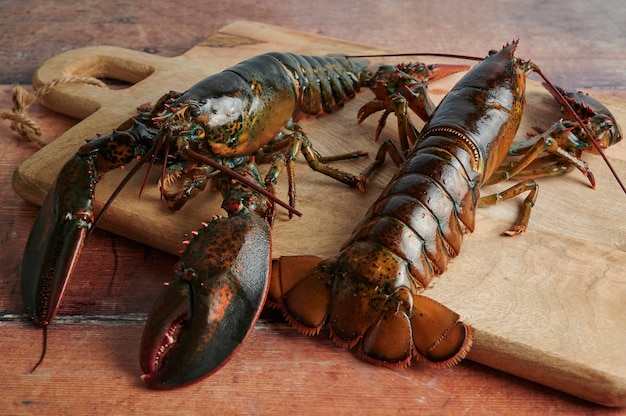 Frische Hummer bereit zum Kochen