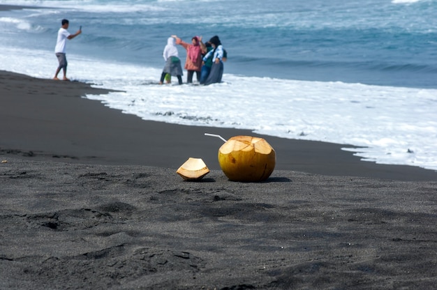 Frische junge Kokosnussfrüchte am dunklen Sandstrand in Pantai Dewa Ruci Purworejo, Indonesien, ausgewählter Fokus mit verschwommenen Menschen, die im Hintergrund fotografieren