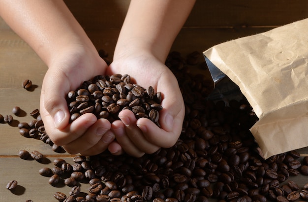 frische Kaffeebohnen in Händen Kind