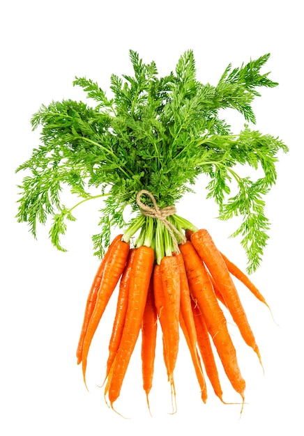 Frische Karotten mit grünen Blättern auf weißem Hintergrund. Gemüse. Essen