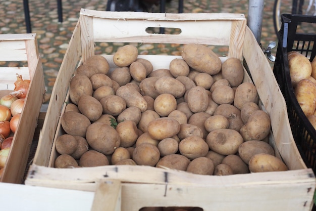 Frische Kartoffeln auf dem Markt