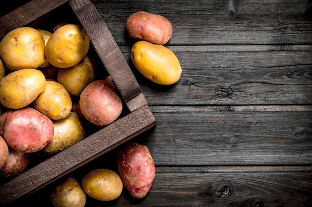 Frische Kartoffeln in der Kiste