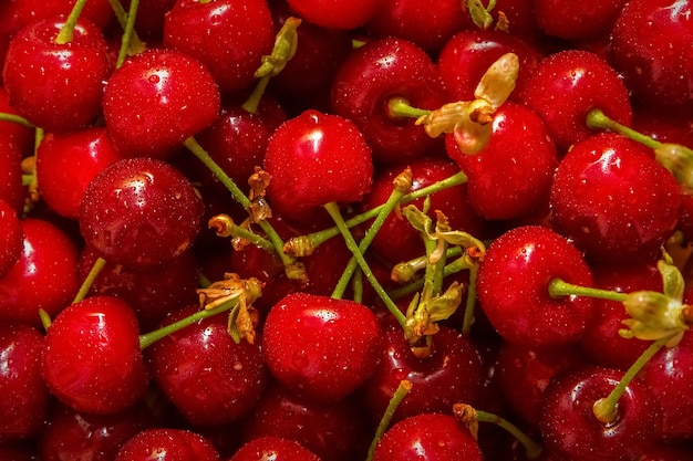 Frische Kirschen in Wassertropfen Bio-Lebensmittel