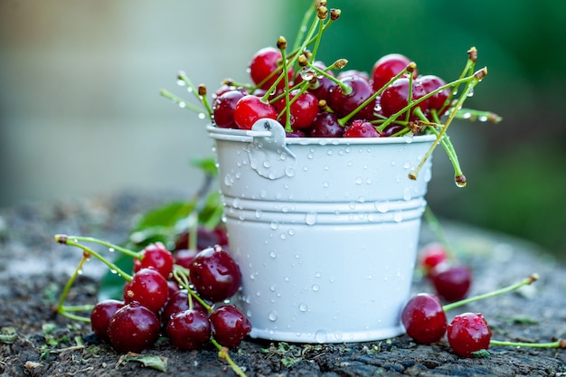 frische Kirschen verzehrfertig