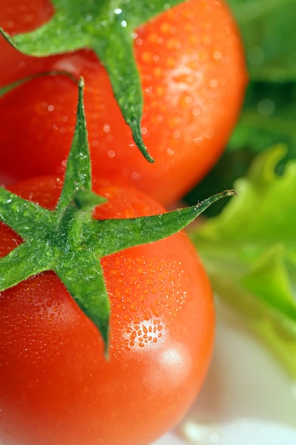 frische Kirschtomaten mit Wassertropfen