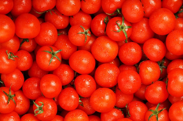 Frische Kirschtomaten