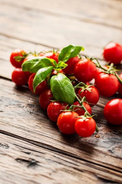 Frische kleine Tomaten