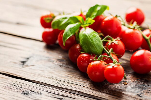 Frische kleine Tomaten