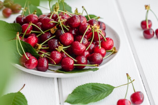 Frische köstliche rote helle Kirschbeeren, die im Sommergarten zerrissen werden