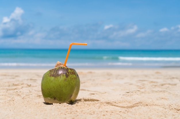 Frische Kokosnuss auf Sand am blauen Himmel des Sommerstrandes.